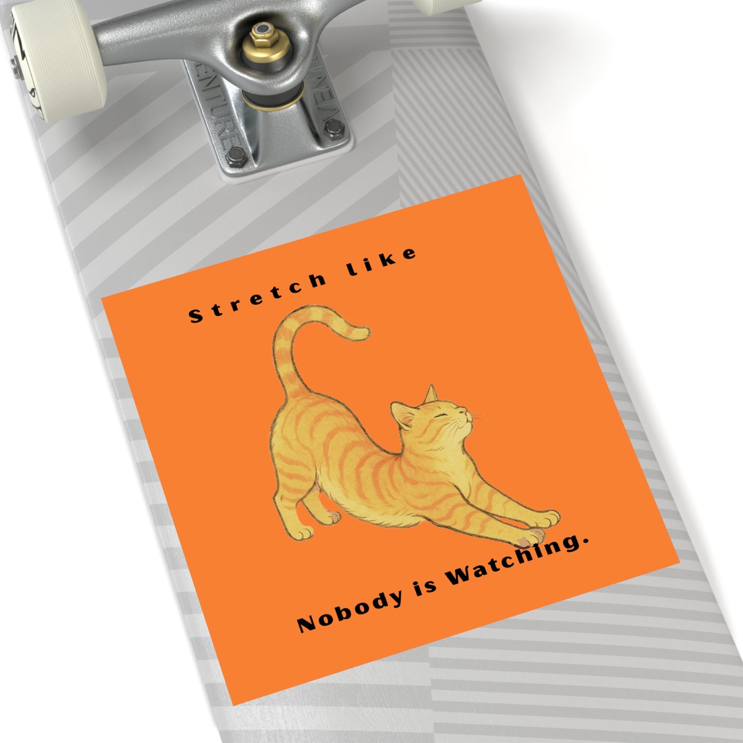 Cat Stretch Square Stickers - Fun Indoor/Outdoor Decals with Motivational Quote