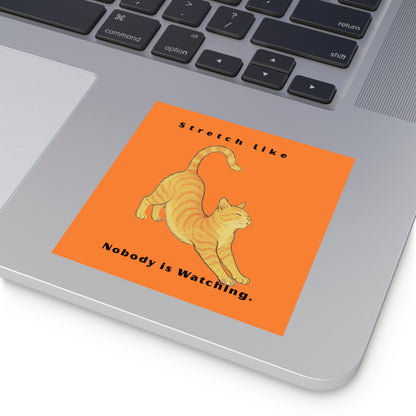 Cat Stretch Square Stickers - Fun Indoor/Outdoor Decals with Motivational Quote