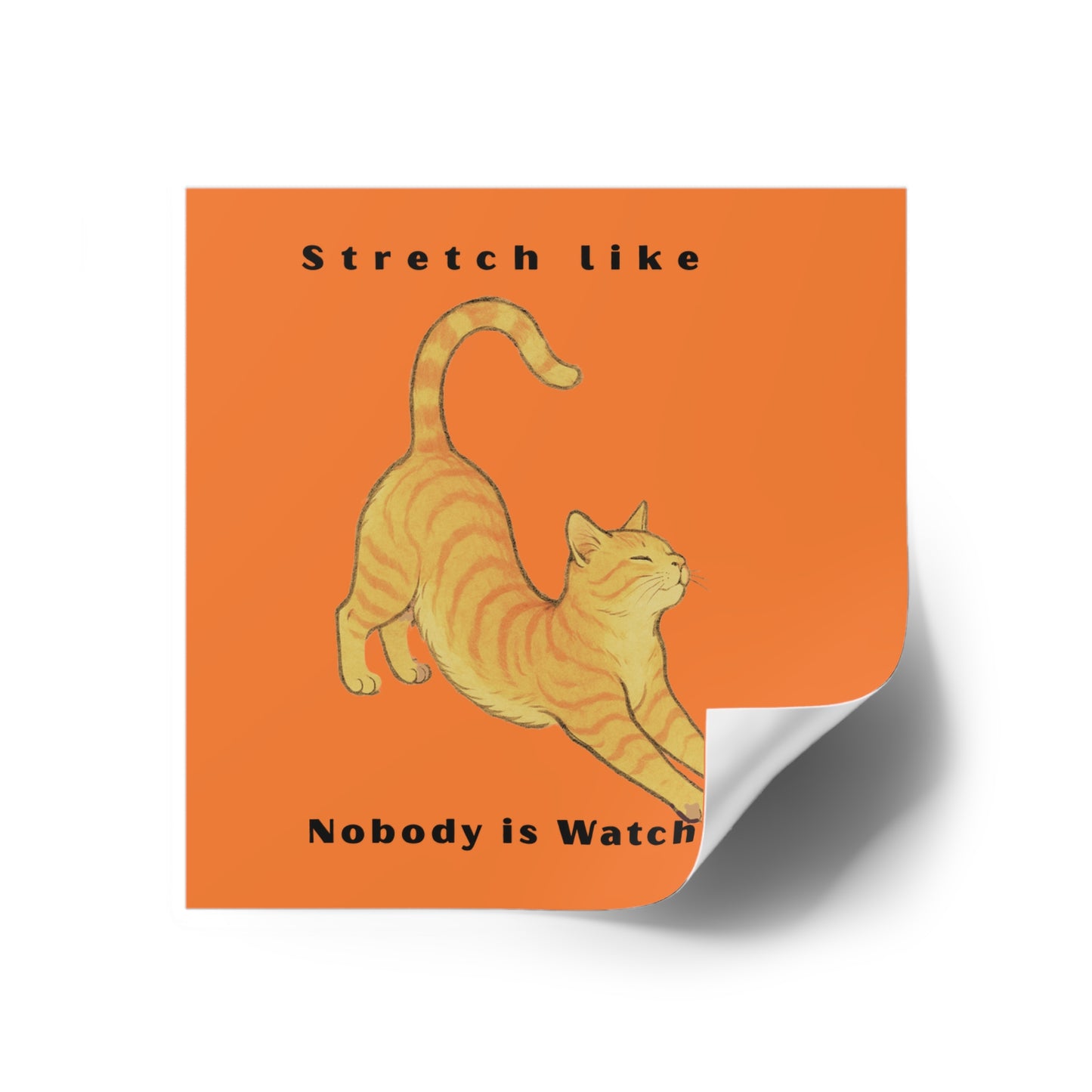 Cat Stretch Square Stickers - Fun Indoor/Outdoor Decals with Motivational Quote