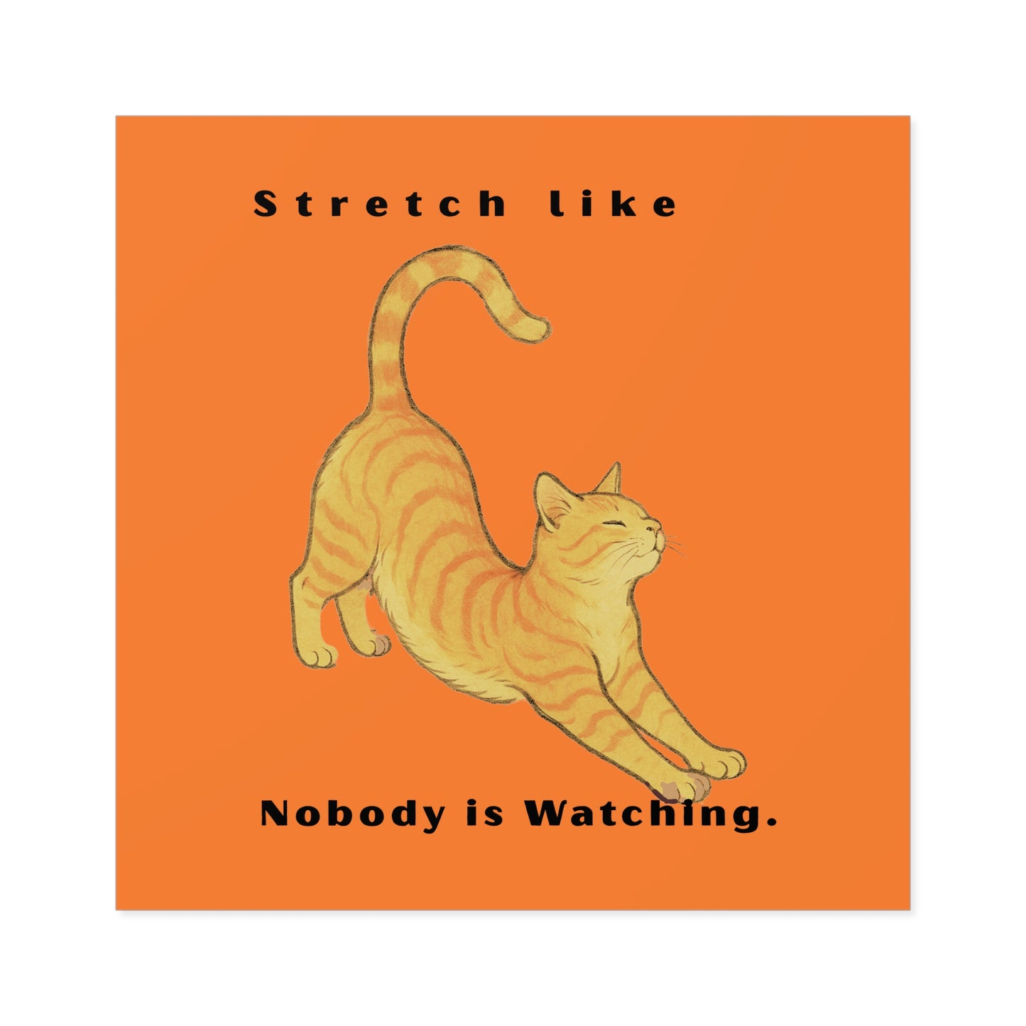 Cat Stretch Square Stickers - Fun Indoor/Outdoor Decals with Motivational Quote