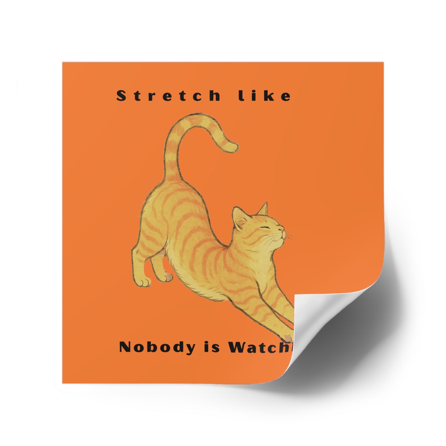 Cat Stretch Square Stickers - Fun Indoor/Outdoor Decals with Motivational Quote