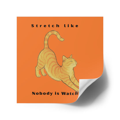 Cat Stretch Square Stickers - Fun Indoor/Outdoor Decals with Motivational Quote