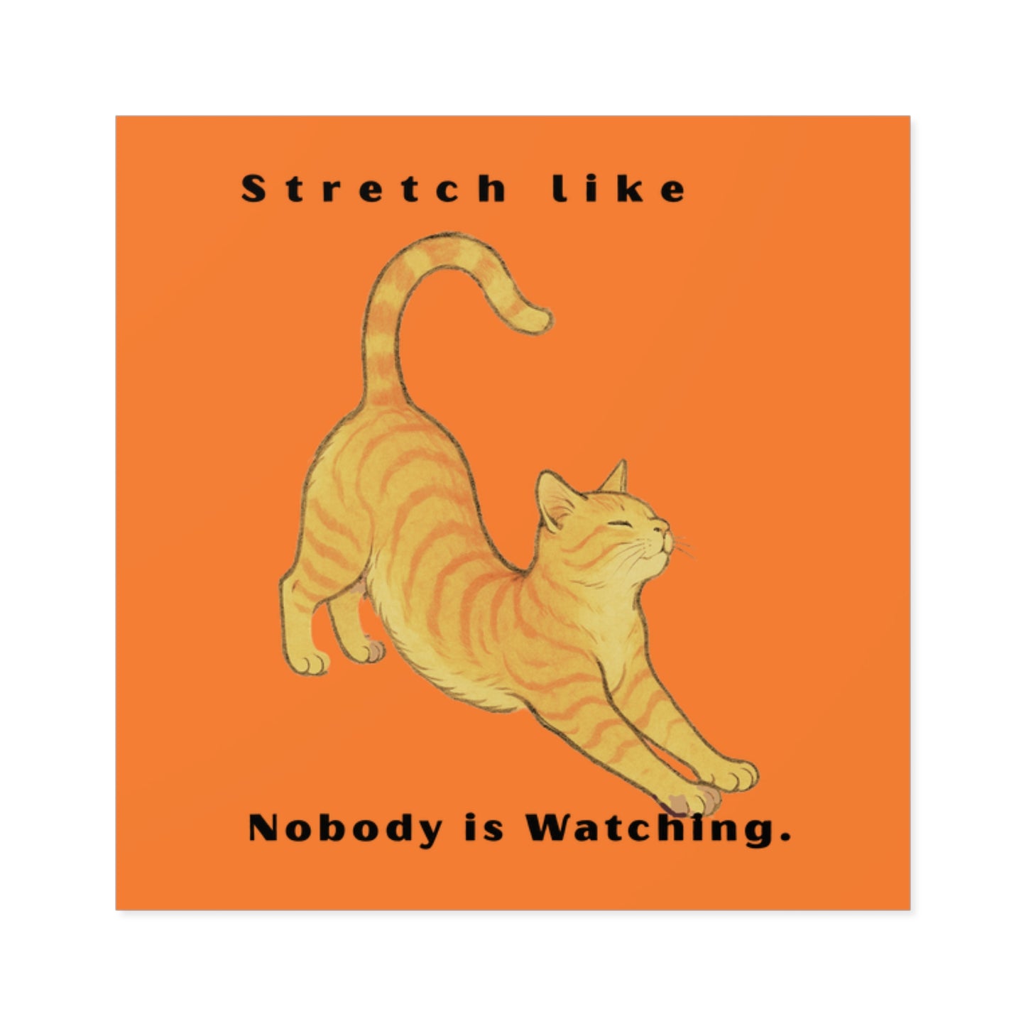 Cat Stretch Square Stickers - Fun Indoor/Outdoor Decals with Motivational Quote