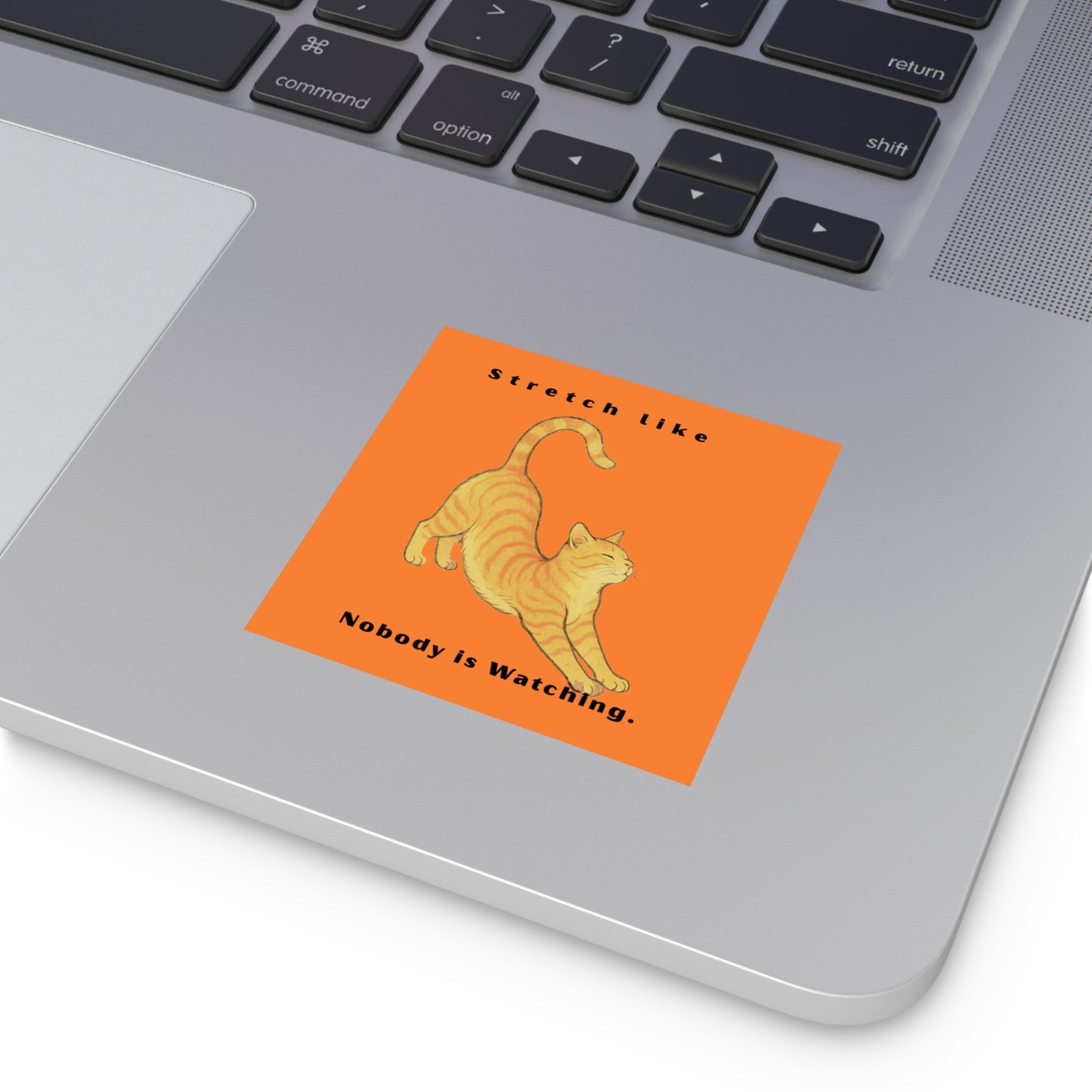 Cat Stretch Square Stickers - Fun Indoor/Outdoor Decals with Motivational Quote