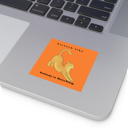 Cat Stretch Square Stickers - Fun Indoor/Outdoor Decals with Motivational Quote