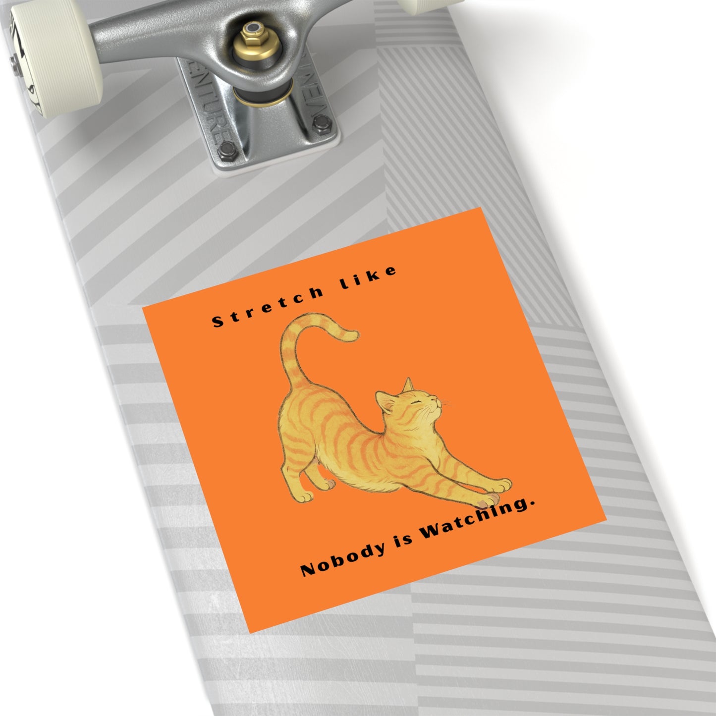 Cat Stretch Square Stickers - Fun Indoor/Outdoor Decals with Motivational Quote