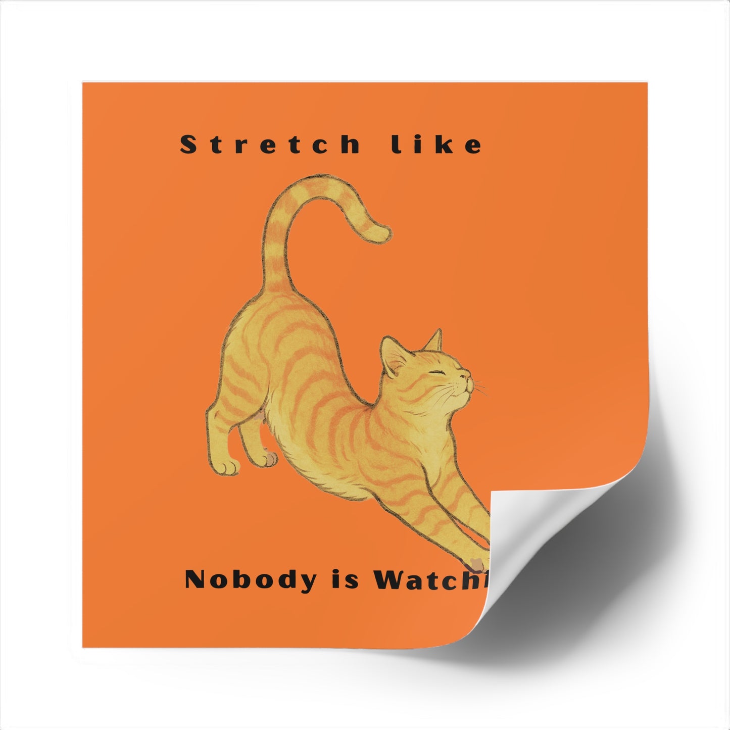 Cat Stretch Square Stickers - Fun Indoor/Outdoor Decals with Motivational Quote