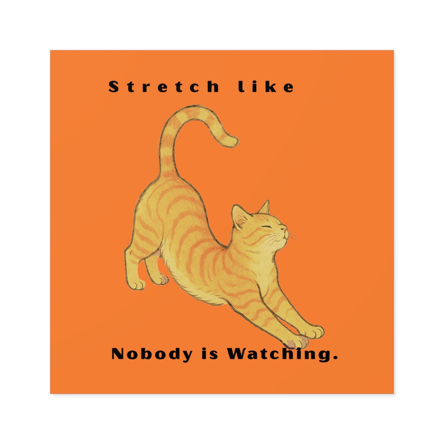 Cat Stretch Square Stickers - Fun Indoor/Outdoor Decals with Motivational Quote