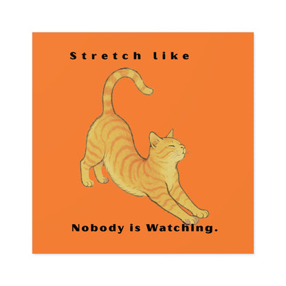 Cat Stretch Square Stickers - Fun Indoor/Outdoor Decals with Motivational Quote