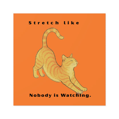 Cat Stretch Square Stickers - Fun Indoor/Outdoor Decals with Motivational Quote