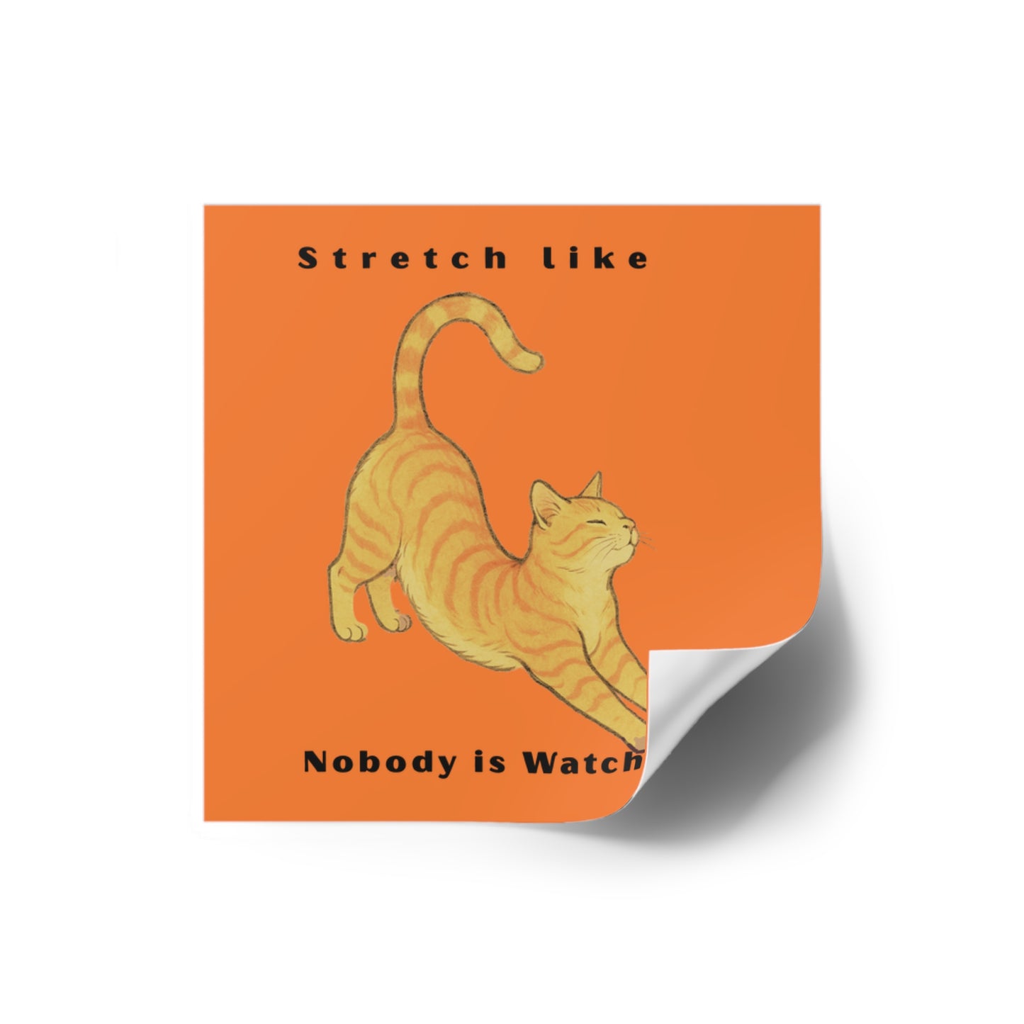 Cat Stretch Square Stickers - Fun Indoor/Outdoor Decals with Motivational Quote