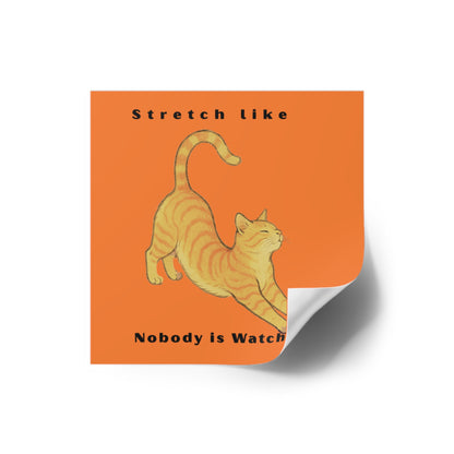 Cat Stretch Square Stickers - Fun Indoor/Outdoor Decals with Motivational Quote